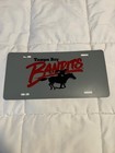 LOT Tampa Bay Bandits USFL Football Team License Plate and Hanky — photo 4