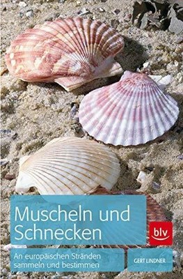 Muscheln und Schnecken: Buch BLV, ein Imprint von GRÄFE UND UNZER Verlag GmbH