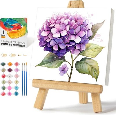 Framed Paint by Numbers Kit for Adults Beginners & 10 x 10 Inch, BOP1PF19 