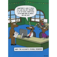 Andy the Accounts Payable Reindeer Box of 10 Humorous / Funny Christmas Cards