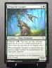 MTG #182 VENGEFUL CREEPER Creature Murders at Karlov Manor common⚔️NM/MT