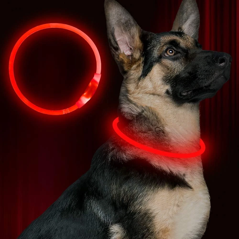 Led Dog Collar, USB Rechargeable Flash Dog Necklace Light, Pet Safety Collar NEW