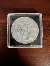 2009 American silver Eagle Coin