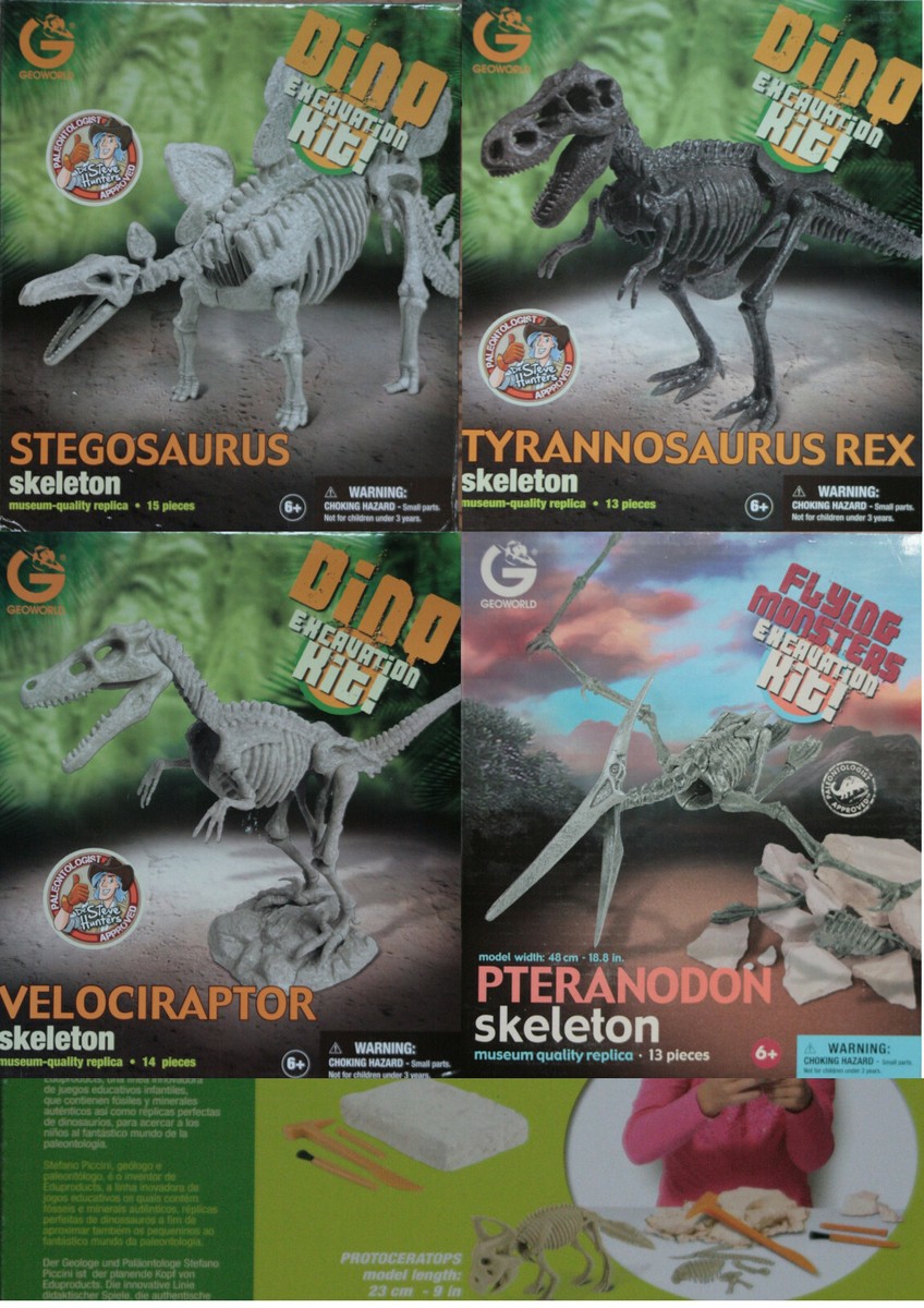GEOWORLDのT-REX  骨格標本キット Amazon | Geoworld ディノディグキット - T-レックスと