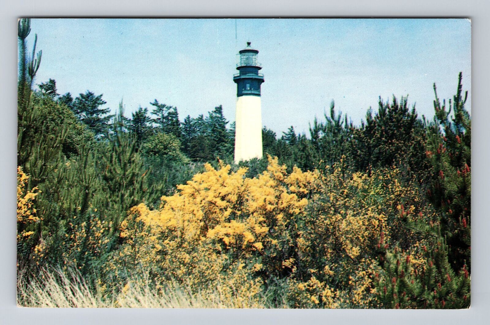 Westport WA-Washington, Grays Harbor Light House, Antique Vintage Postcard