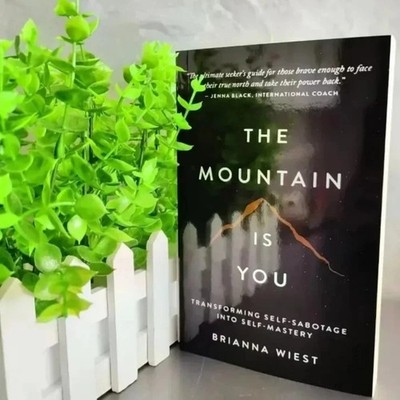 The Mountain Is You: Transforming Self-Sabotage Into Self-mastery English Books