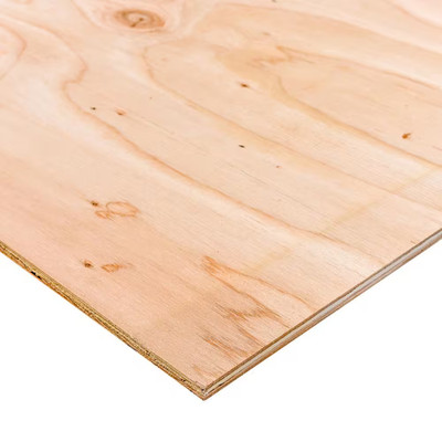 1/2 In. X 2 Ft. X 4 Ft. BCX Sanded Plywood