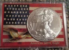 2015 - 1 Oz Silver Eagle One Dollar Coin Uncirculated in Plastic Case
