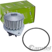 Valeo Wasserpumpe Passend FüR CitroËN AX Berlingo BX C15 C2 C3 Nemo Saxo Xsara