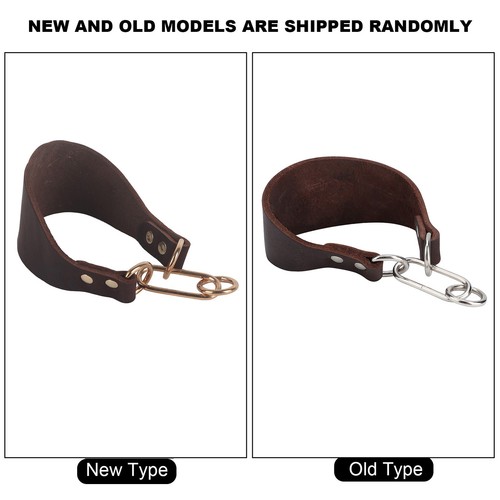 Widen Pet Collar For Small Dog Greyhound Whippet With Rivet Fixing Brown New - Picture 4 of 13