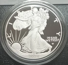 2024-S PF-70 Proof Eagle, Ultra Cameo, 1 oz Fine Silver List $169.00+, TOP SPOT!