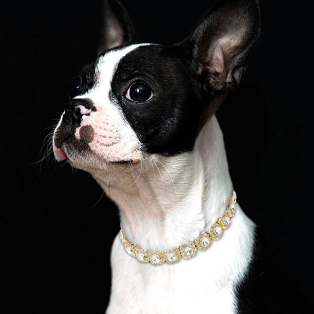 Diamond dog shop chain