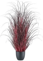 artplants Deko Afrikanisches Lampenputzergras Tunpa Im Dekotopf, Rot, 80Cm