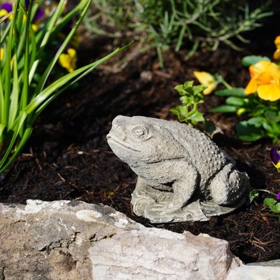 Kröte Stein Statue Outdoor Garten Ornament Frosch Britische Tierwelt Skulptur Deko