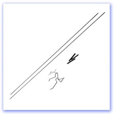 Parkzone Micro Sukhoi Collegamenti per ascensore e asta di spinta PKZ1025