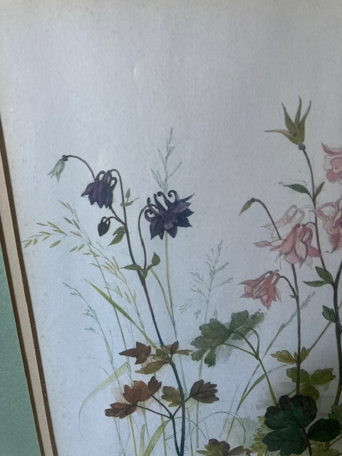 Picture 9 of 13