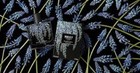 Bild 9 von 11