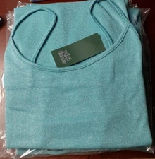 Wild Fable Womens Fit n Flare Sparkle Skater Dress S 2 4 Blue Spaghetti NWT