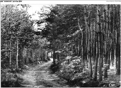 AKEP13-1059-07 - ALBOUSSIERE - Ein Unterholz