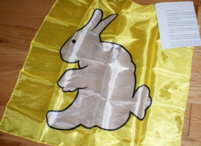 Rabbit to Duck scarf -- great quickie for kids of all ages; easy to do      TMGS