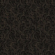 1800's Reproduction Elegant Estate Judie Rothermel Marcus Fabrics Black 1190