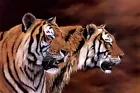 Art Giclee Printed Oil Painting Print Tiger portrait Canvas