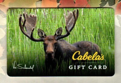 CABELA'S Bull Moose ( 2014 ) Gift Card ( $0 )