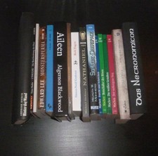 Horror Bücher - 16 St. - HC + TB - meist OOP...