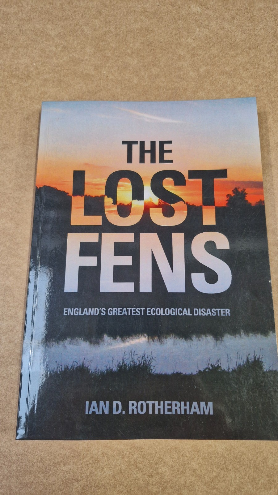 The Lost Fens: England's Greatest Ecological Disaster by Ian D. Rotherham...