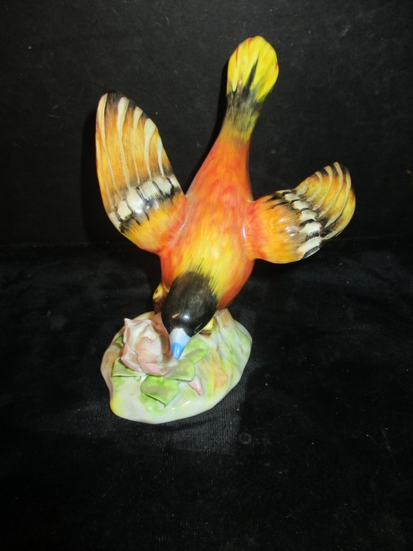 Royal Adderley Bone China  Baltimore Oriole Bird Made in England L20 LK
