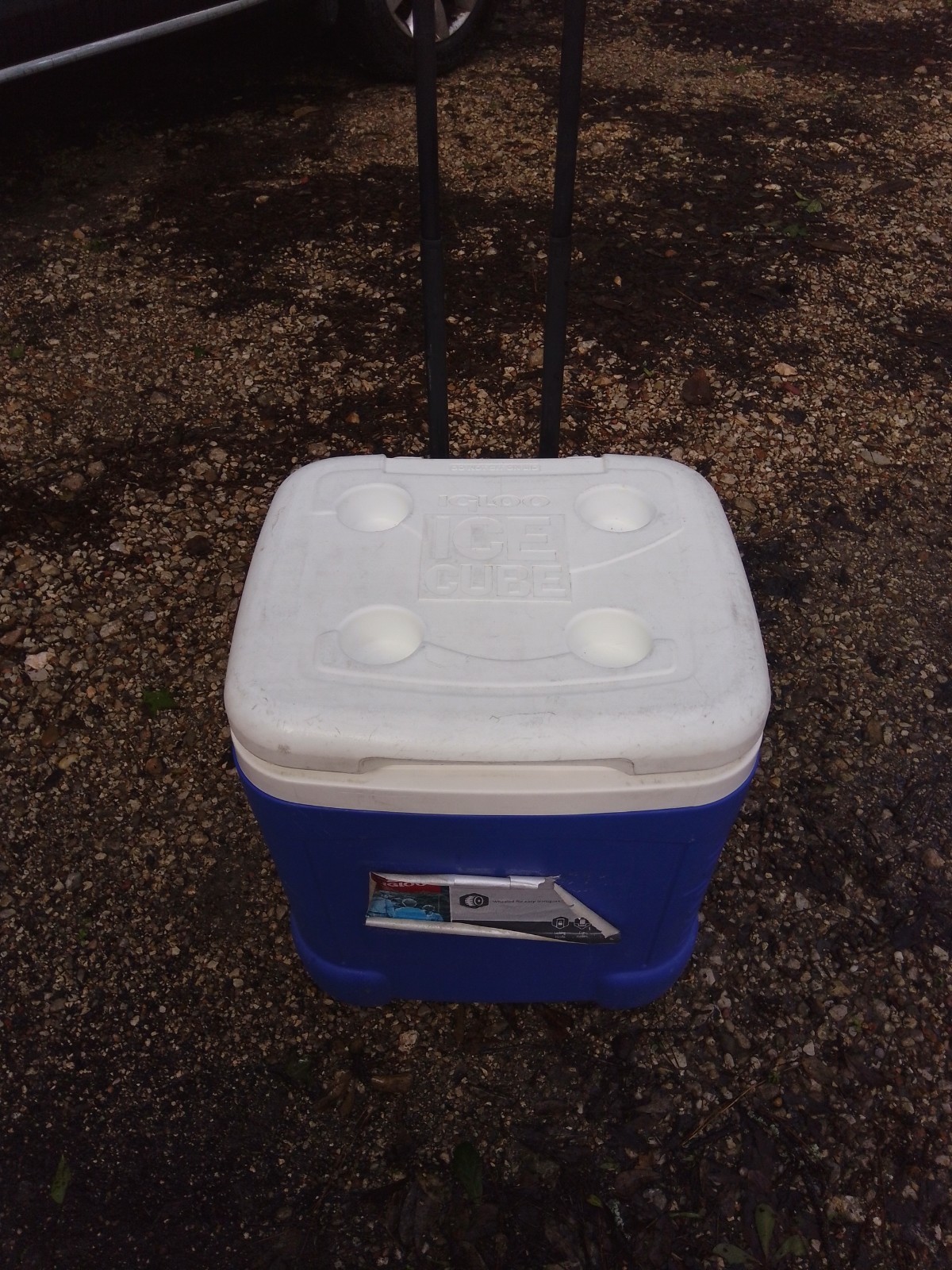 Igloo Ice Cube 60 qt Cooler