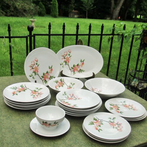 VTG WINTERLING Bavaria 1950's PINK WILD ROSE blossom Dinnerware Set 22pc for 6 - Afbeelding 1 van 9