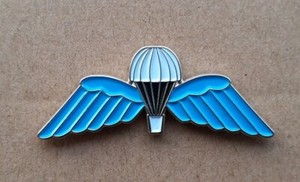 BRITISH ARMY PARACHUTE REGIMENT WINGS PIN BADGE HIGH QUALITY PARA WINGS |  eBay