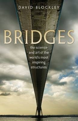 Bridges, David Blockley, Taschenbuch