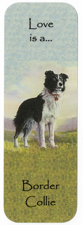 K9-KARDS BORDER COLLIE DOG BEAUTIFUL DOG BOOKMARK SAME IMAGE BOTH SIDES GREAT GIFT