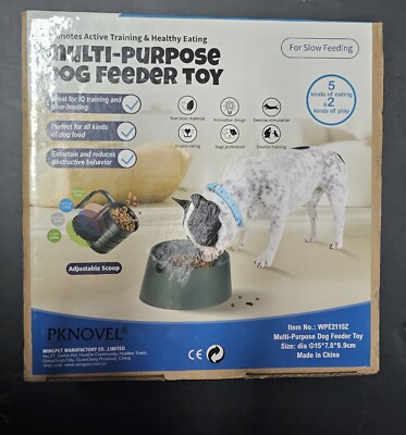 Anti-Slip Slow Feeder Bowl With Measuring Scoop For Pets