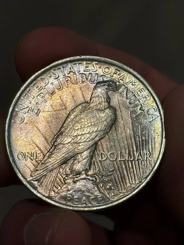 1923 RAW UNC TONED PEACE DOLLAR!! Pastel Toned!