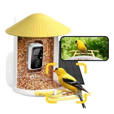 by Birdfy Smart Bird Feeder with Camera – AI Identifies Birds Yellow AI Solar