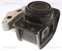 Triscan Motorlager 8505 28108 FüR Peugeot 308 1 SW Partner Tepee CC 5008 3008 C4