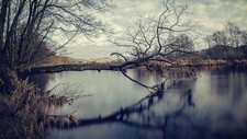 Landscape trees lake winter Custom Gaming Mat Desk