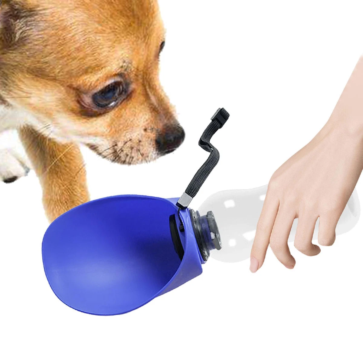 Dog travel cheap water
