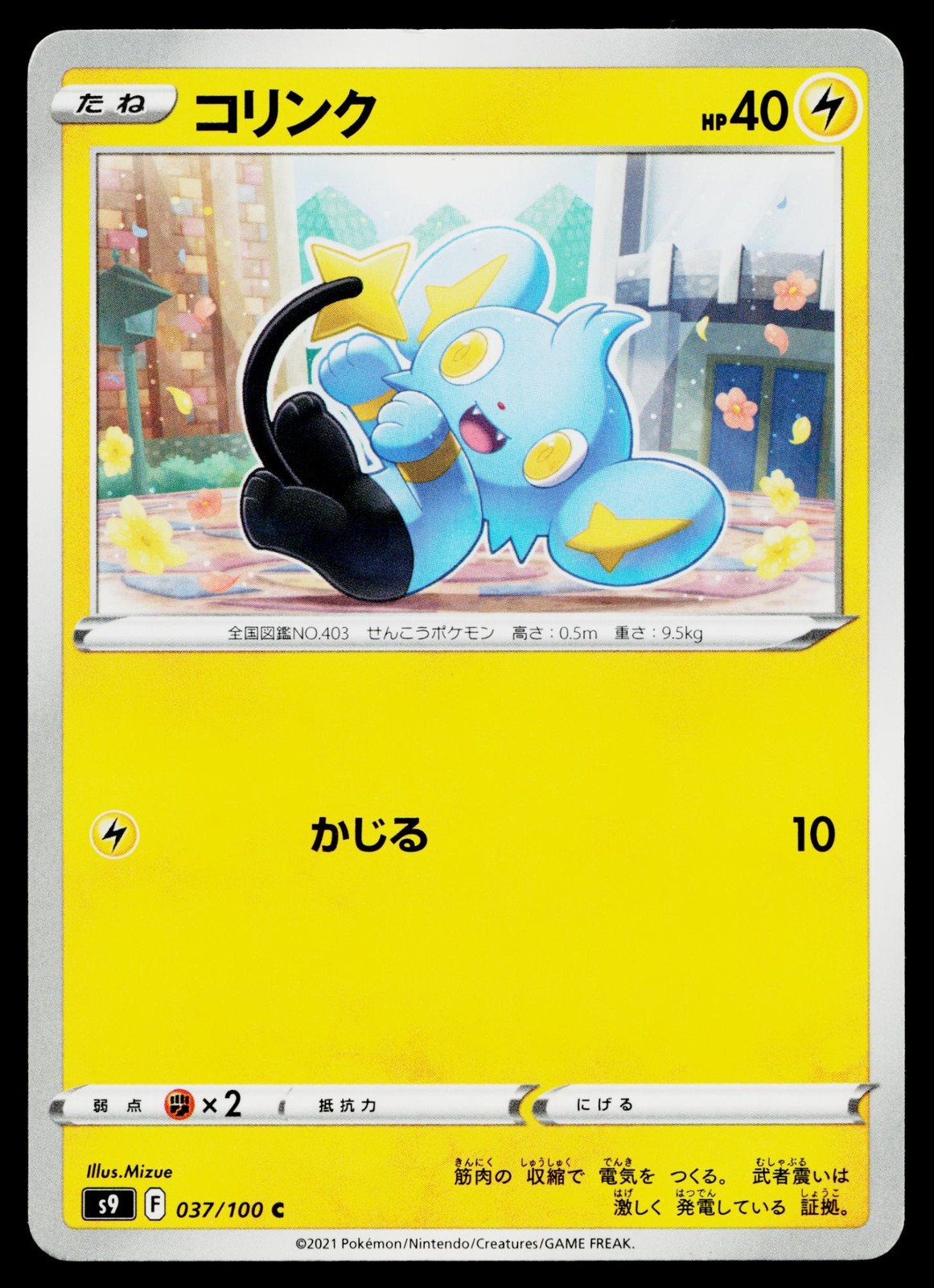 Shinx 037/100 Common Star Birth Pokemon Japanese Lightly Played