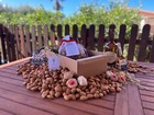 Foto 6 di 11