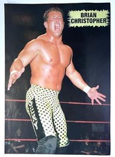 BRIAN CHRISTOPHER & ANIMAL vs  BILLY GUNN double-sided Magazine page Pinup