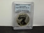 2006-P American Silver Eagle — photo from another recent sale