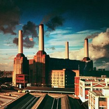 PINK FLOYD Animals BANNER HUGE 4X4 Ft Fabric Poster Tapestry NEW