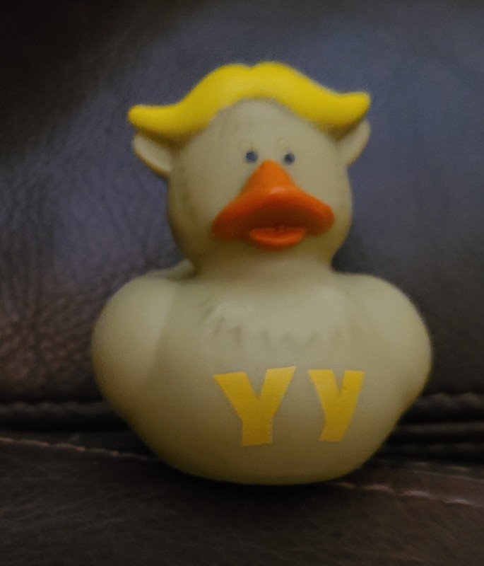 Rubber Duck Yak Alphabet Letter Yy Jeep
