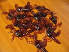 15 Crab Soft Plastic 3D Fishing Baits 3" Un-Rigged Clear Amber Brown