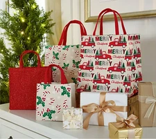 Kringle Express 24-Pc Set of Reusable Gift Bags with Hang Tags
