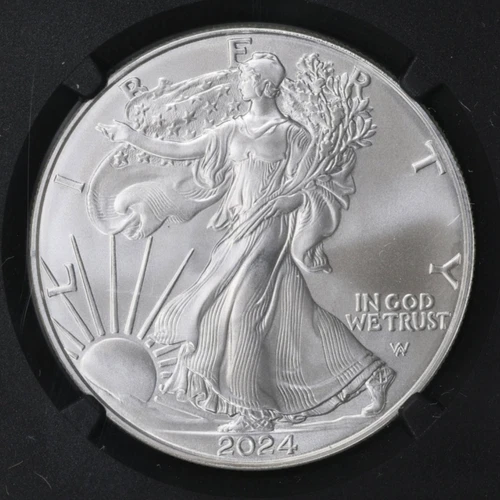 2024 $1 1-oz American Silver Eagle US Coin In Capsule - product listing photo